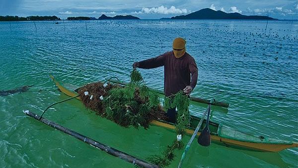 Man paddling a green canoe over clear water near Flower Island Resort.