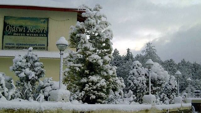 Ojaswi Resort, Chaukori Chaukori Snow Capped 2 Ojaswi Hotel and Resort in Chaukori