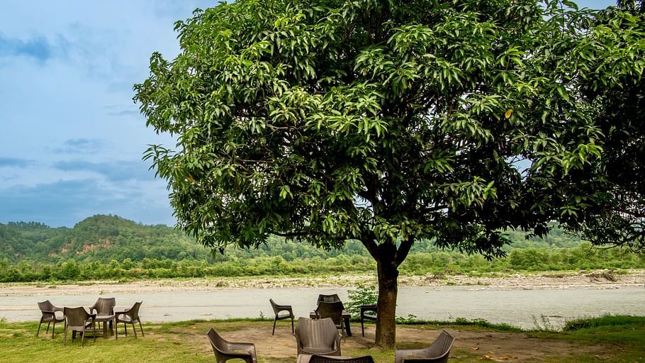 Tiger Camp Resort, Corbett Ramnagar Tiger Camp