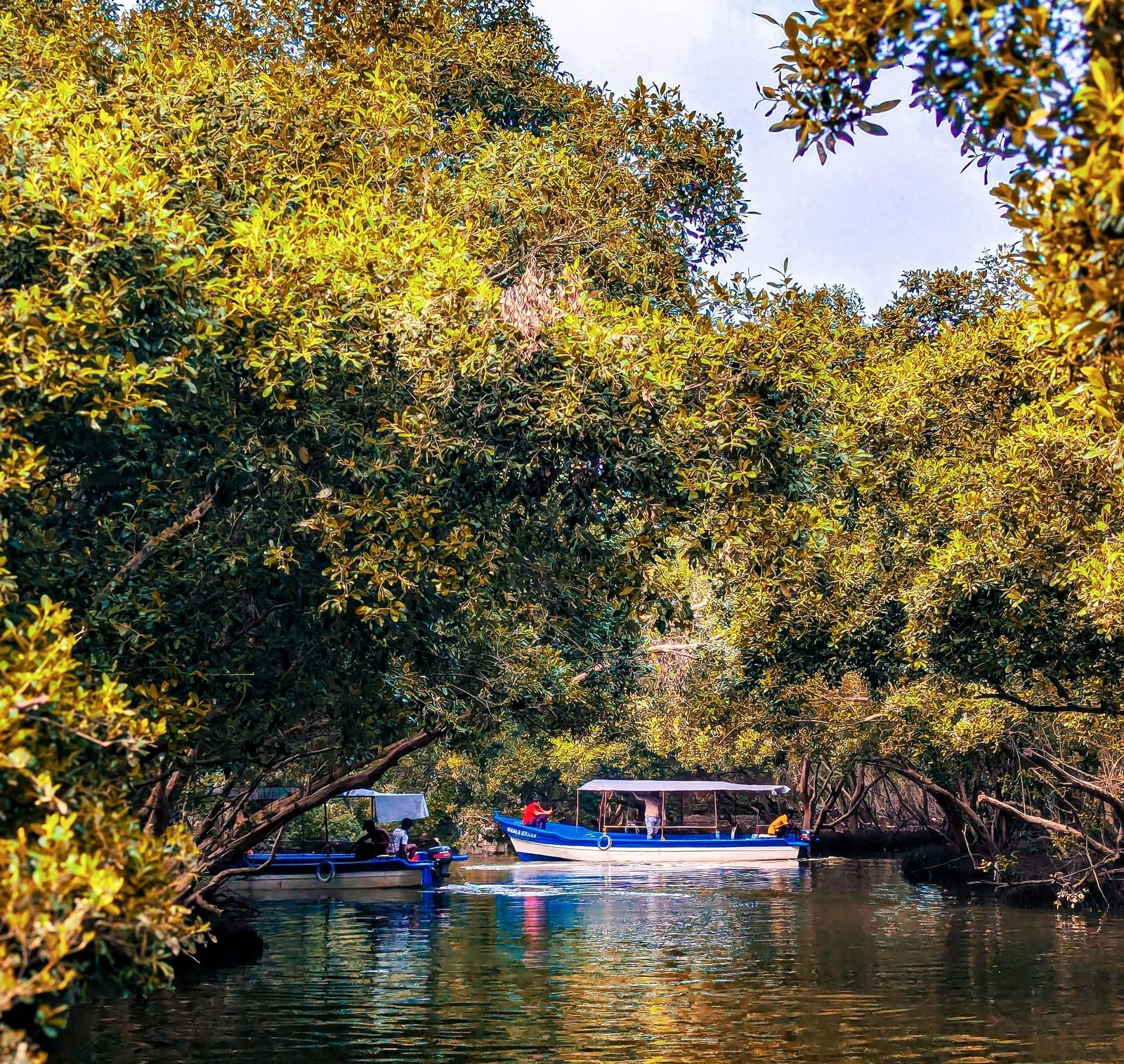A motor boat sailing through a river with crystal-clear waters surrounded by lush green forests.