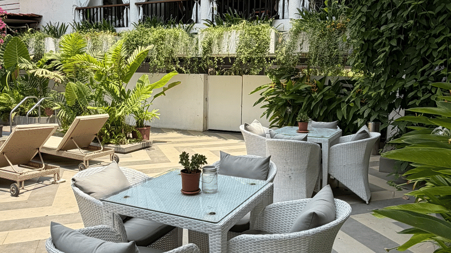 An outdoor seating area with tables, chairs, potted plants at Bougainvillea, Alibaug.