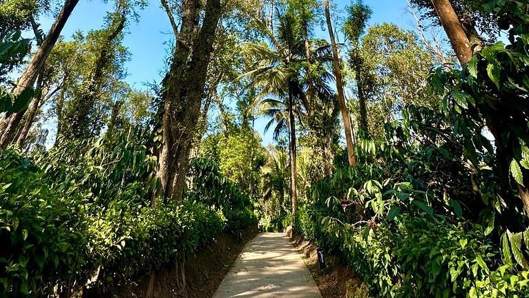 Walking Trail on the Coffee Estate at MWL