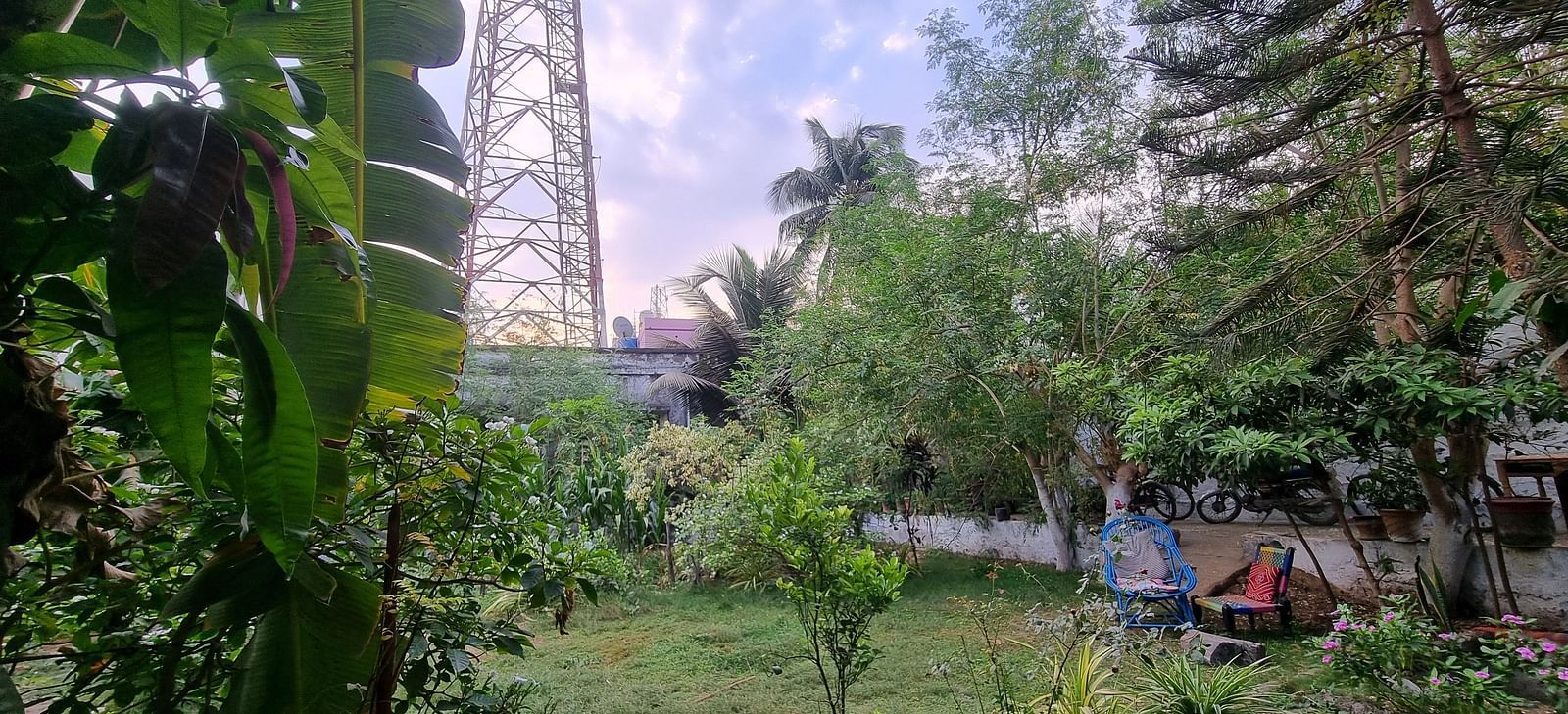 A beautiful landscape of the garden area at the Dream Vision Guest House surrounded by various plants and trees.