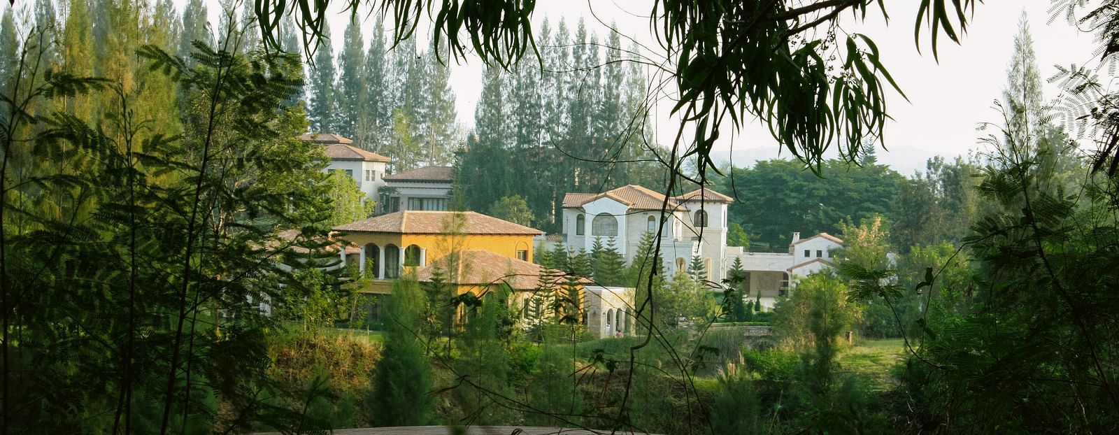 image of a cluster of bungalows nestled amidst lush greenery