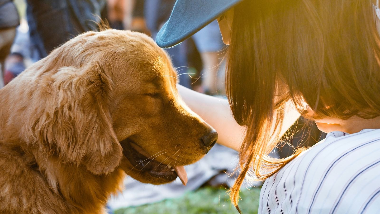 Happy dog- pet friendly- Mumbai