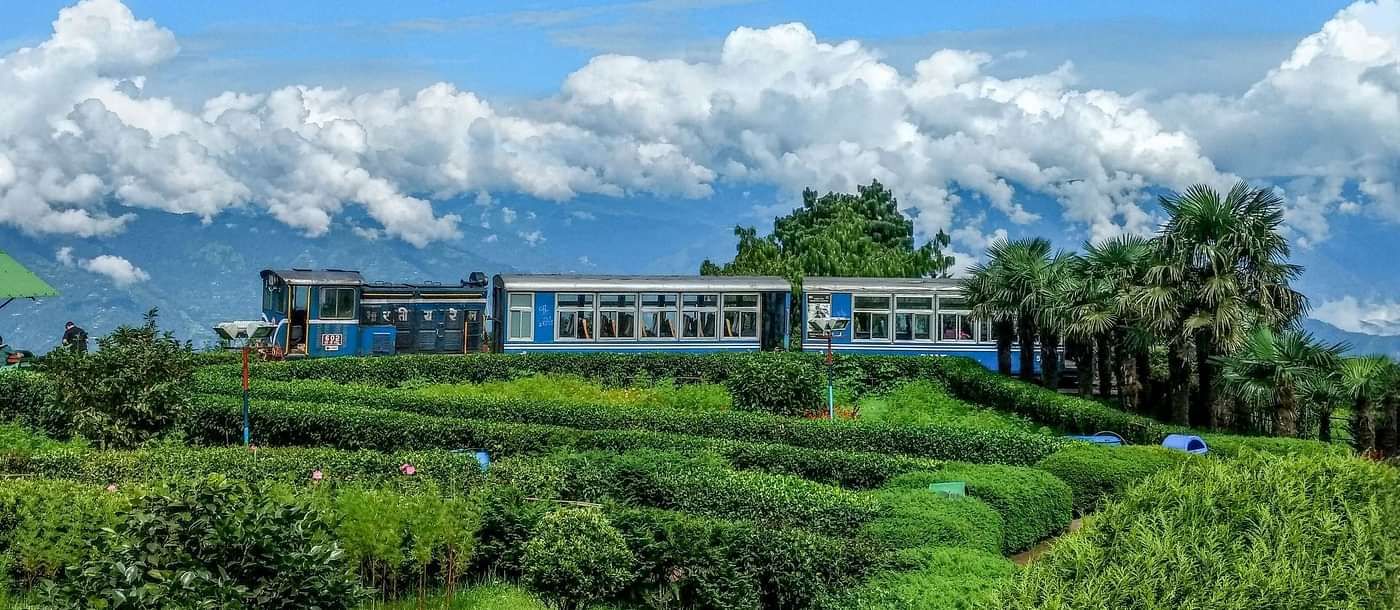 TOYTRAIN