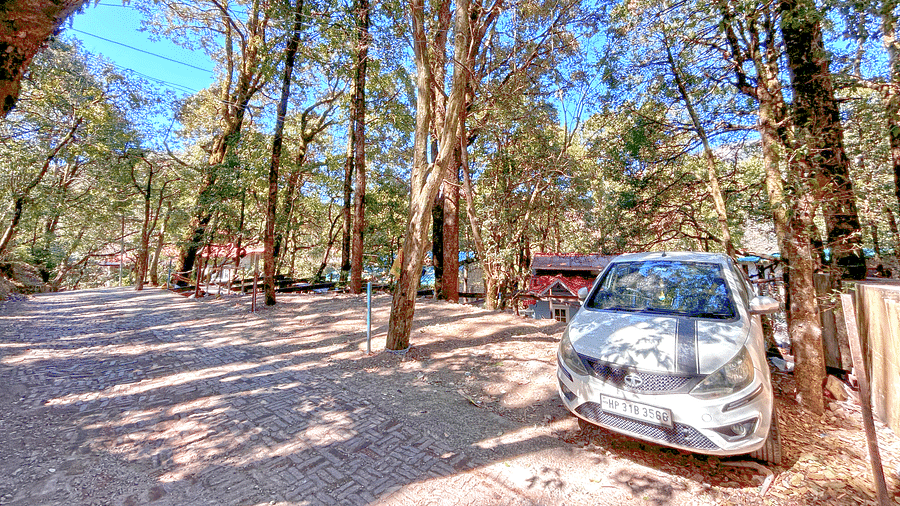 The parking area of DLS The Emerald, Nainital where a car is parked and is surrounded by trees