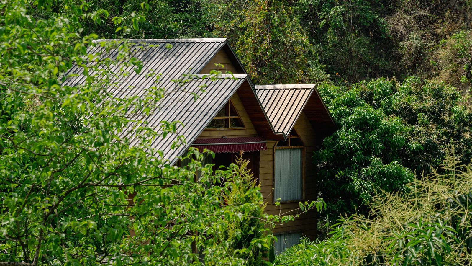 Facade view of Pinewood Cottage through the trees at the Sylvan Retreat, Dehradun.