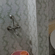 IMG-20240928-WA0212
