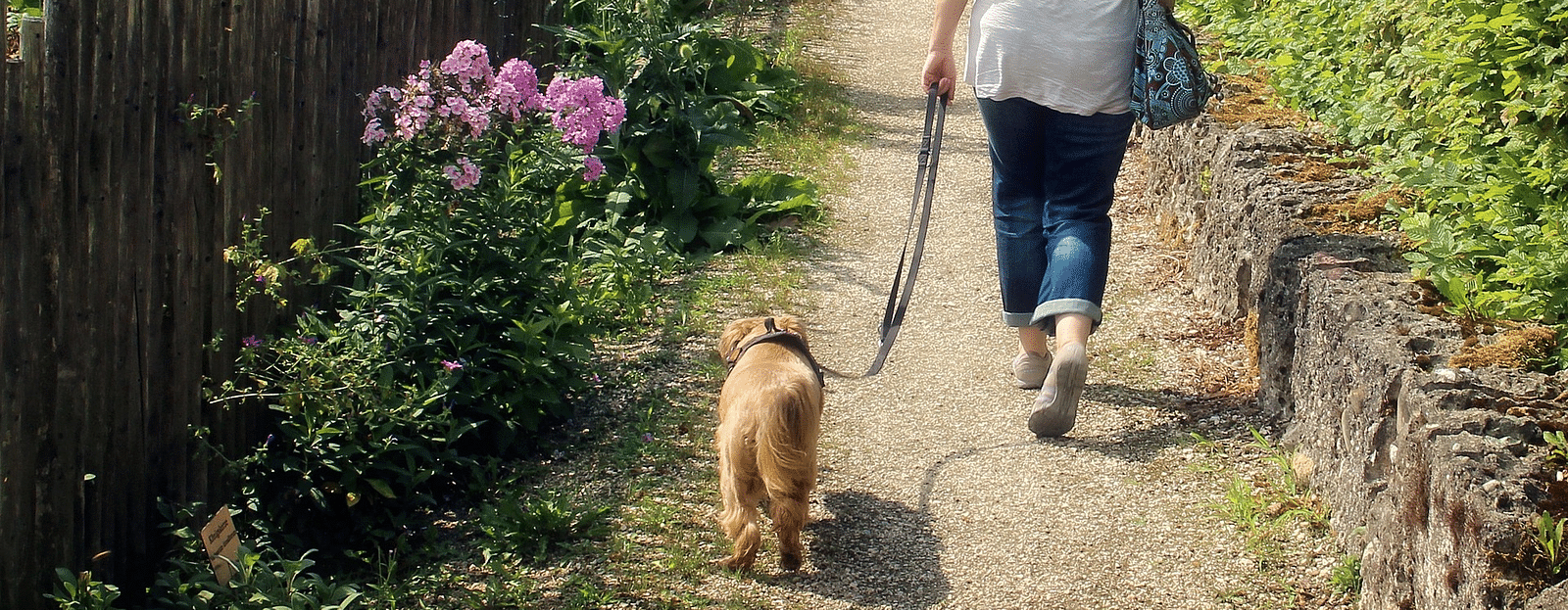 Woman walking her dog along a scenic country path.