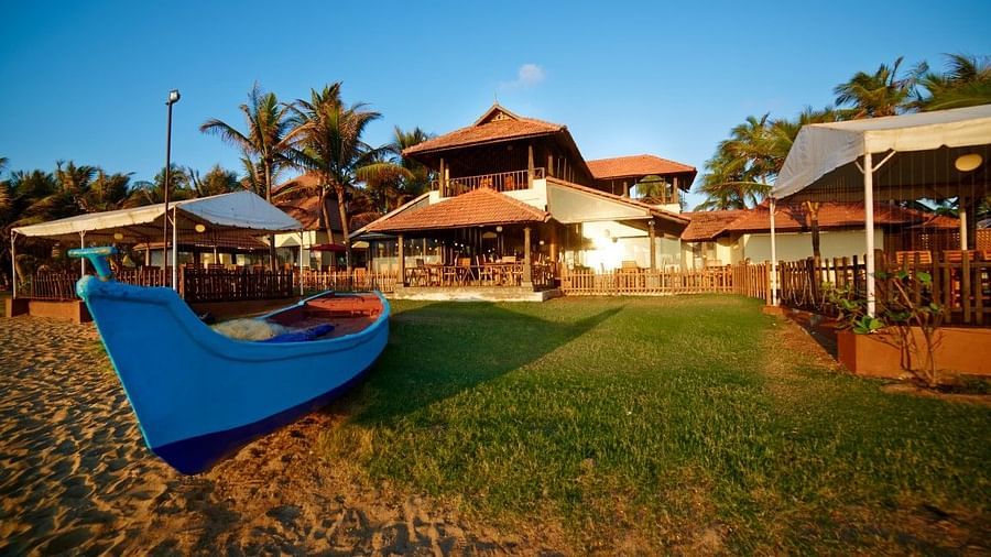 Sit out areas of MGM Beach Resorts with palm trees around 2 - MGM Hotels and Resorts