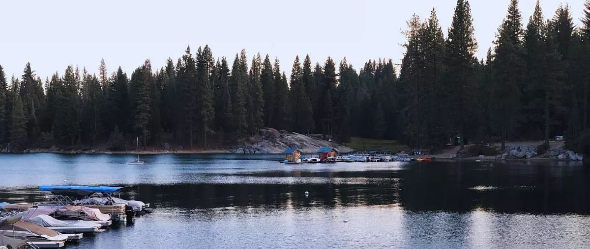 A view of a lake with a pine forest in the backdrop