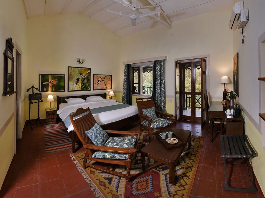 Airy Treepie room at the GH