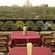 Hotel Taj Plaza Agra Rooftop Cafe Hotel Taj Plaza Agra 13