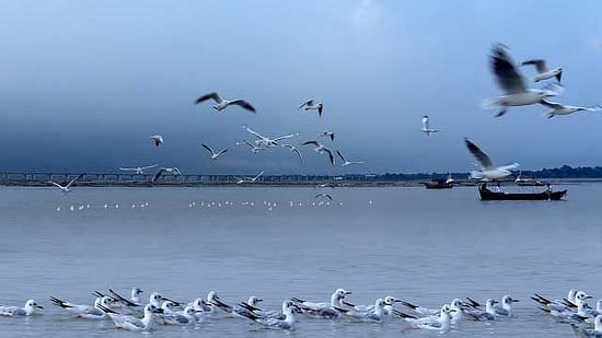 Triveni Sangam Hotel Kanha Shyam Prayagraj