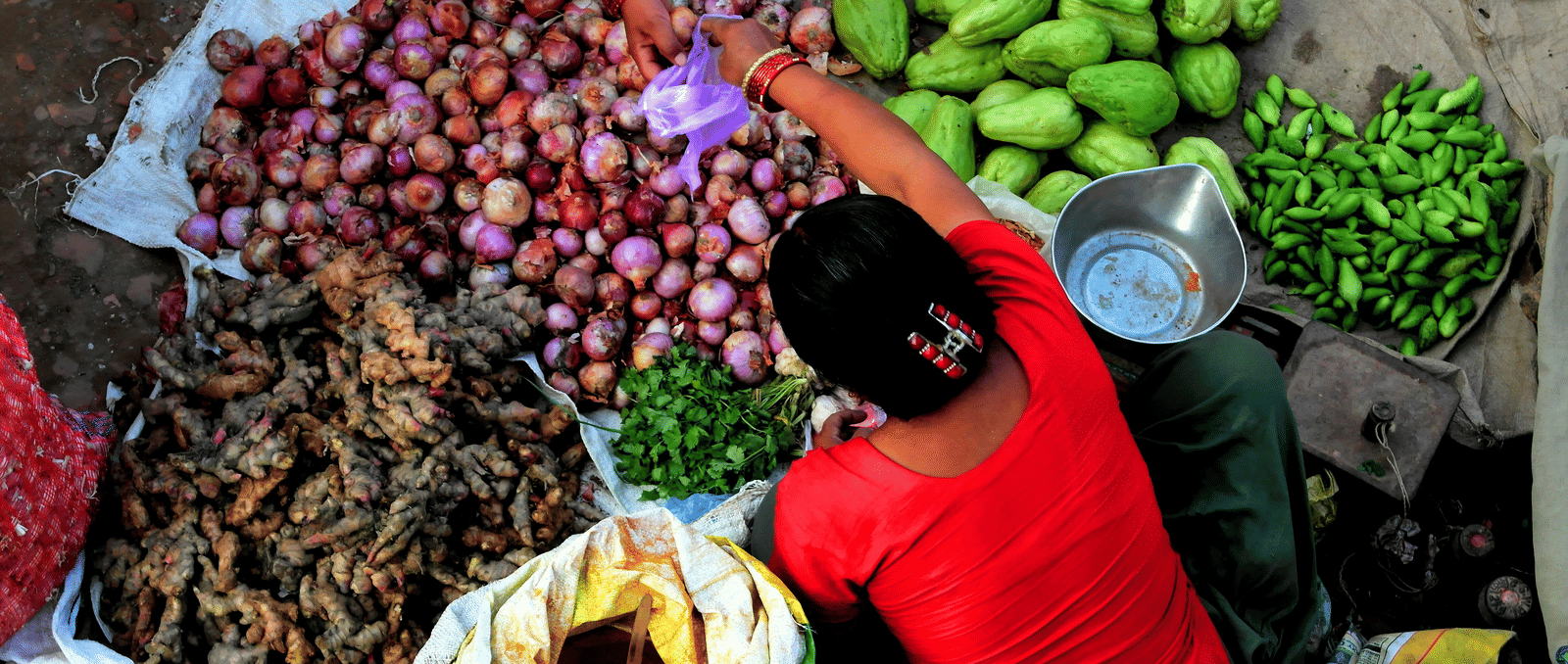 pritush-munankarmi-EF8lssG-DEE-unsplash