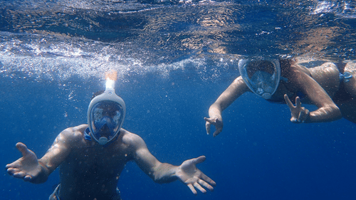 an overview of two people snorkelling and posing for a picture underwater.