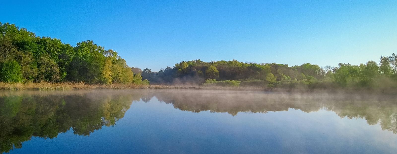 Scenic view of the lake surrounded by greenery during a bright sunny day.