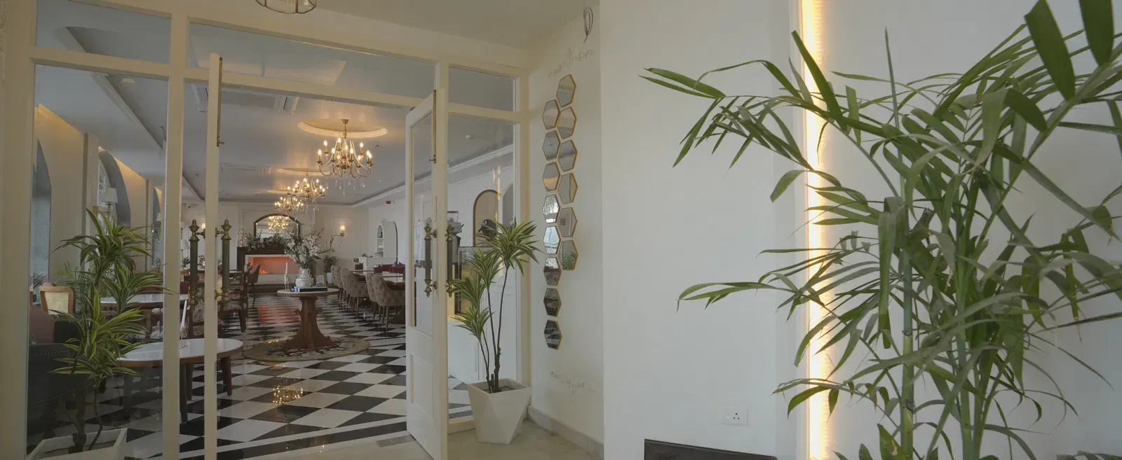 Glass entrance adorned with indoor plants and ambient ceiling lighting - Mayfair Cafe & Suites, Dalhousie