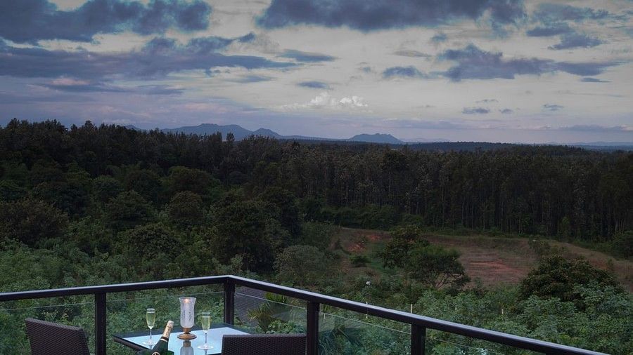 view from the balcony of one of our rooms in Chikmagalur