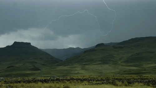 pexels-photo-20598967