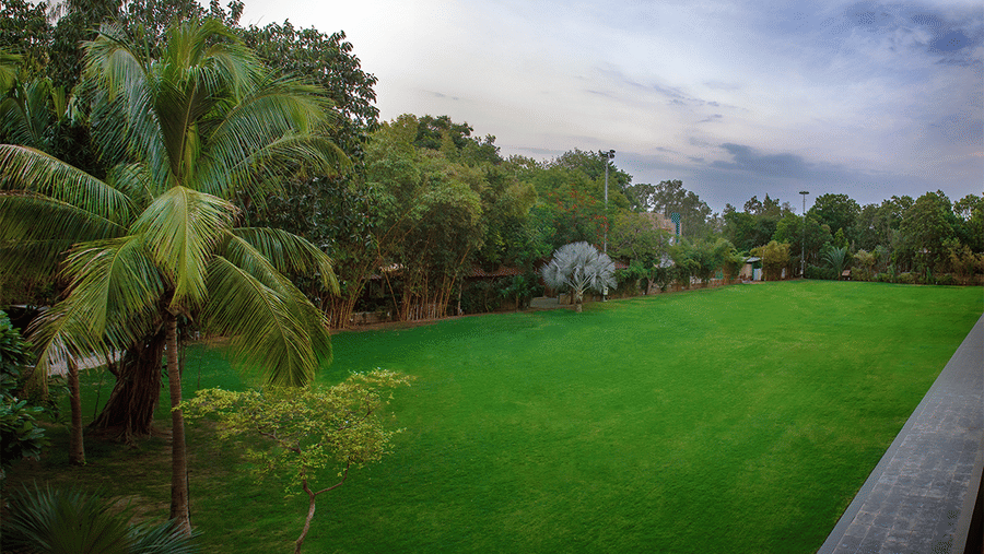 Green garden lawn with tropical trees – Narayani Heights Hotel & Resorts