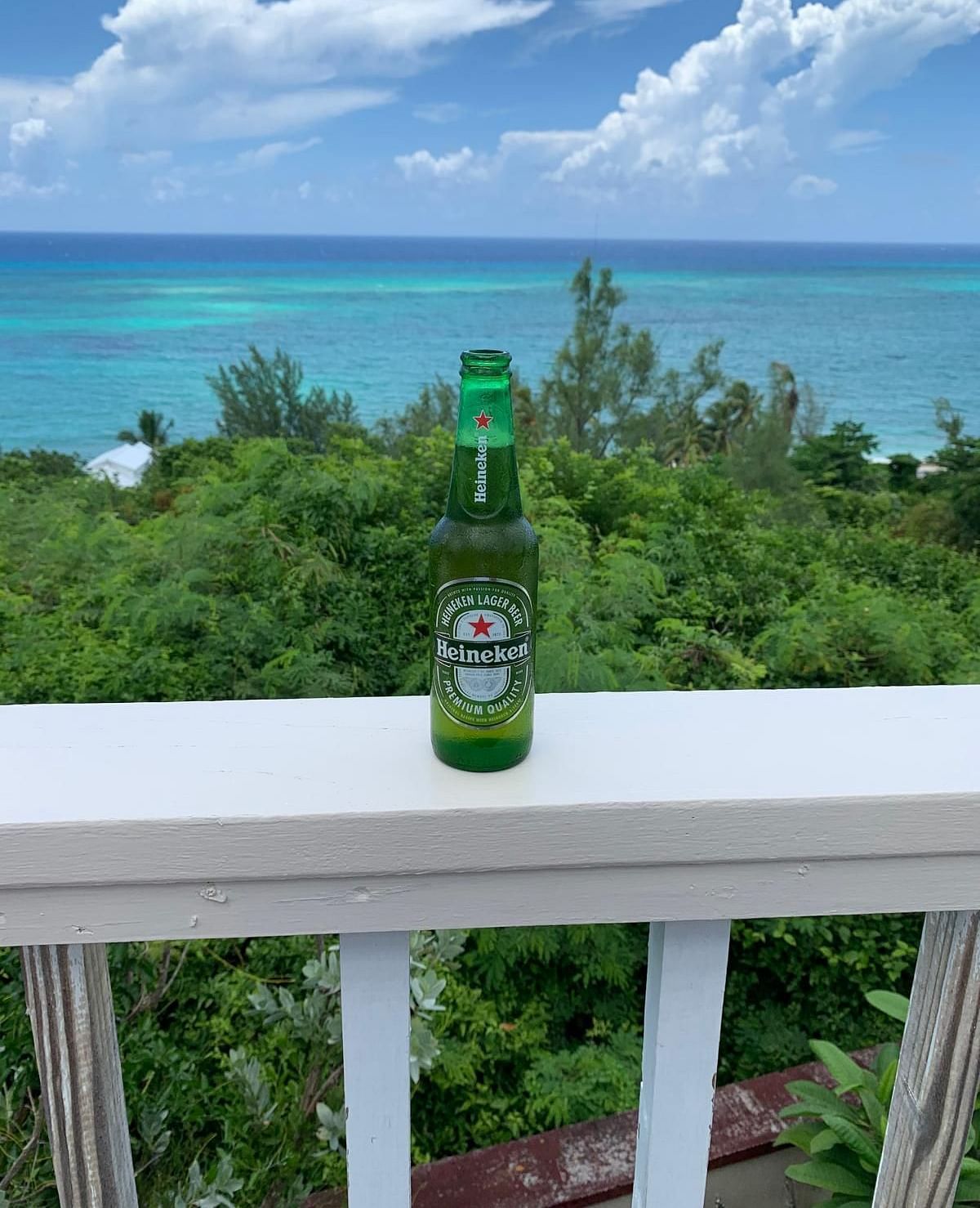 A green bottle placed on a white railing with ocean and trees in the background