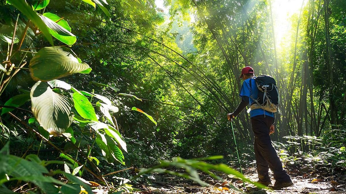 Trekking