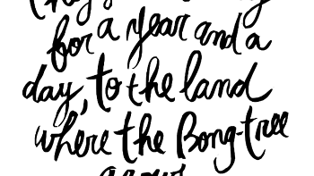 excerpt from Owl and the Pussycat Poem by Edward Lear 4