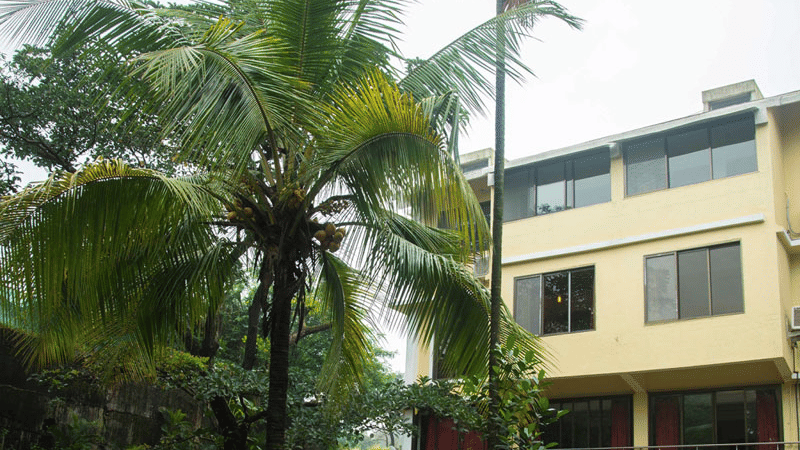 the outside lawn in front of a section of the resort - Zara's Resort