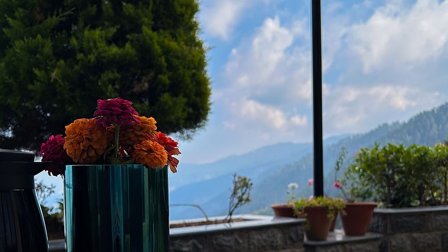 Fresh coffee and breakfast setup on a scenic balcony with lush views at Aranya Retreat, Mashobra