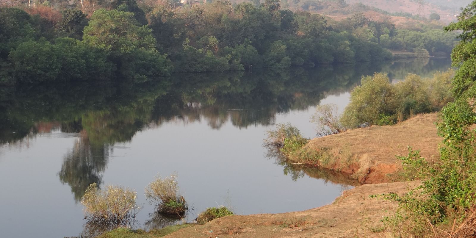 A view of the bank of the river with lush trees surrounding the area, and mountains in the background at Riverside Inn.