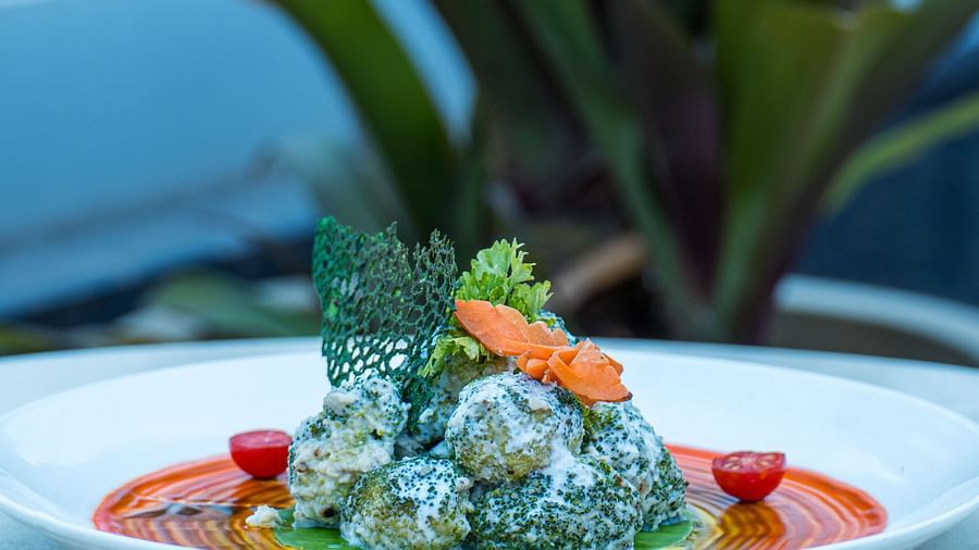Gourmet dish featuring dumplings garnished with sauce and fresh vegetables.