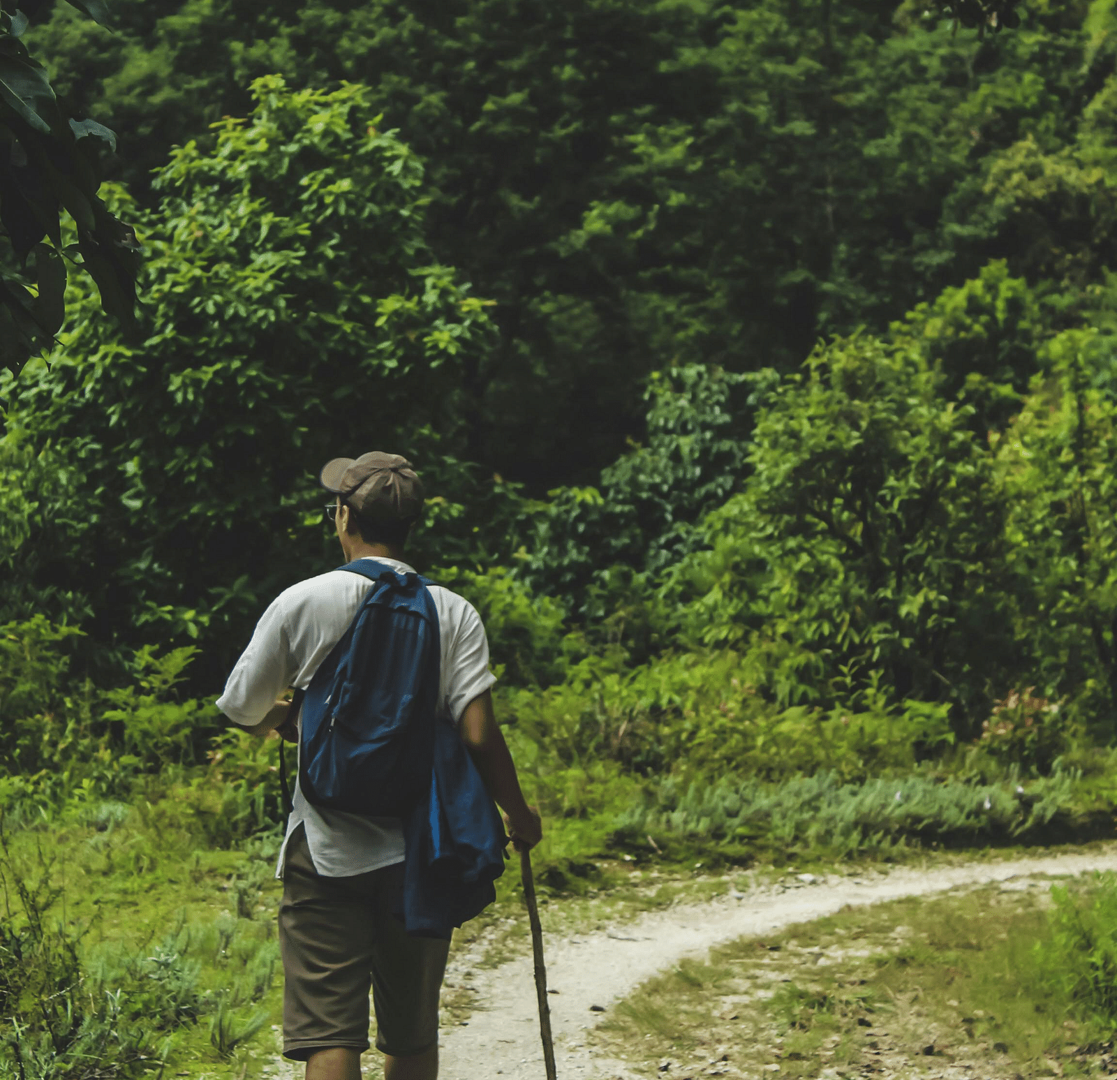 A person with a backpack and walking stick hikes on a trail through a forest. - Pondicherry trekking