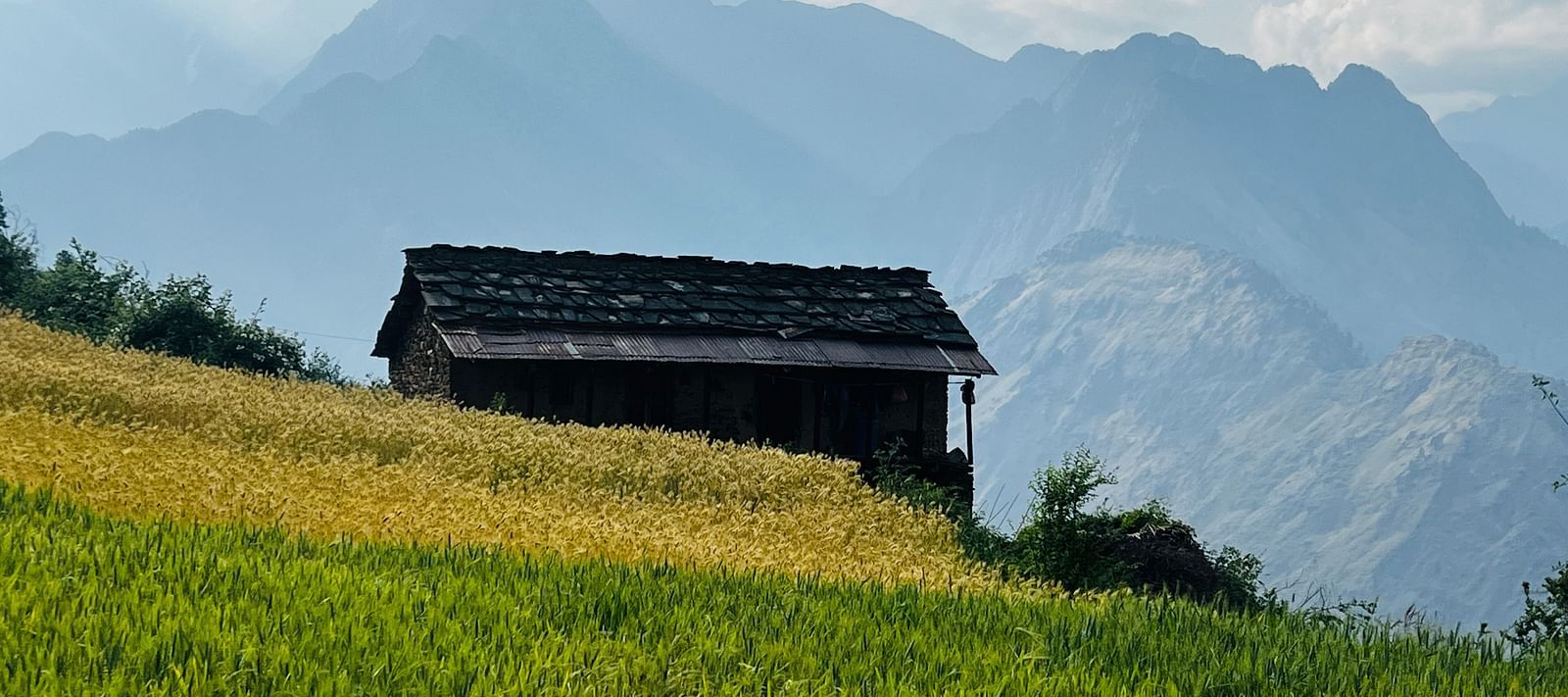 Traditional wooden hut surrounded by fields in a mountainous region  | Faraway Cottages, Auli
