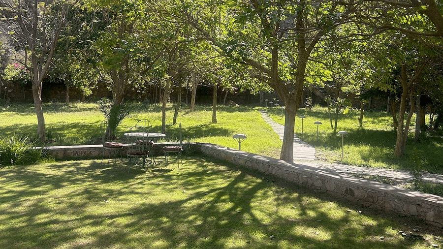Outdoor Gardens at Surya Bagh-Winter Afternoon