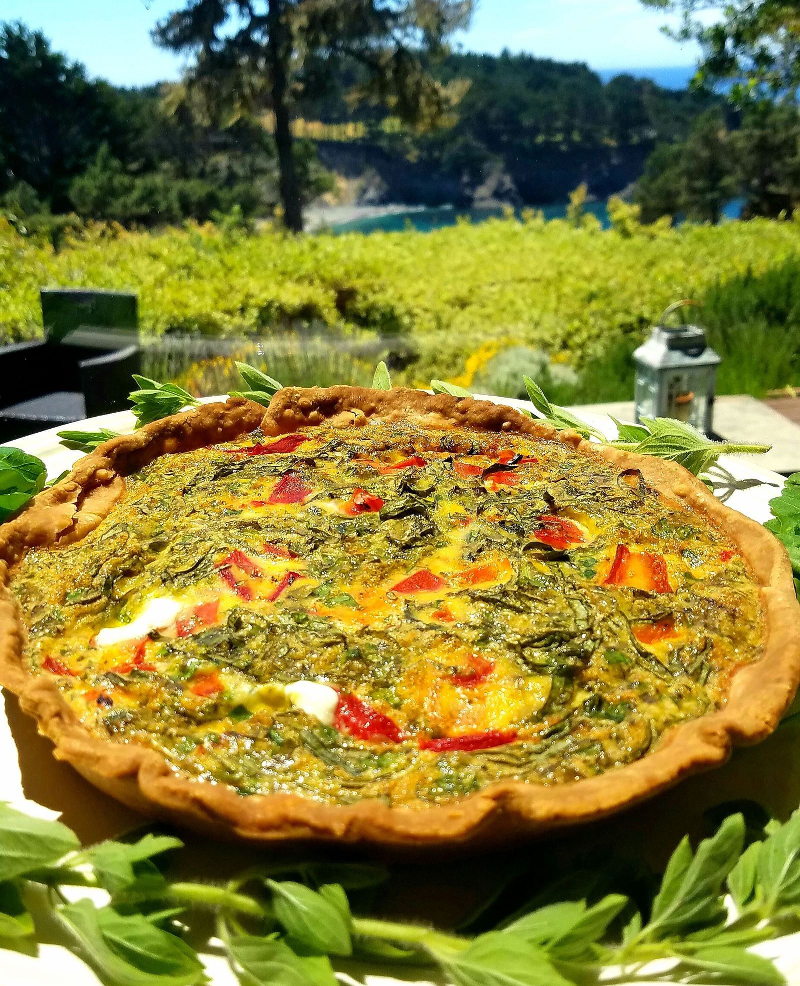 A garden view with an elegant dish plated in the foreground - Brewery Gulch Inn & Spa
