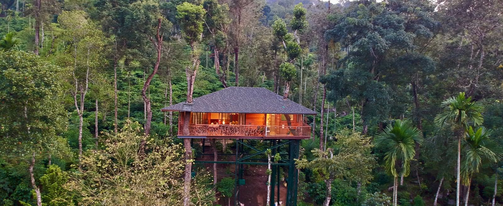 A tree house nestled amongst dense green trees on a misty hillside - BluSalzz Collection - Tranquil Resort, Wayanad