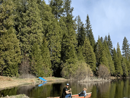 A person kayaking in a lake with pine trees in the backdrop.