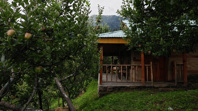 Side view of the exterior of the Deo Tibba Cottage featuring a porch area protected with wooden hand rails overlooking the green forests surrounding it at Amara Upepo - The Sky Village, Manali.