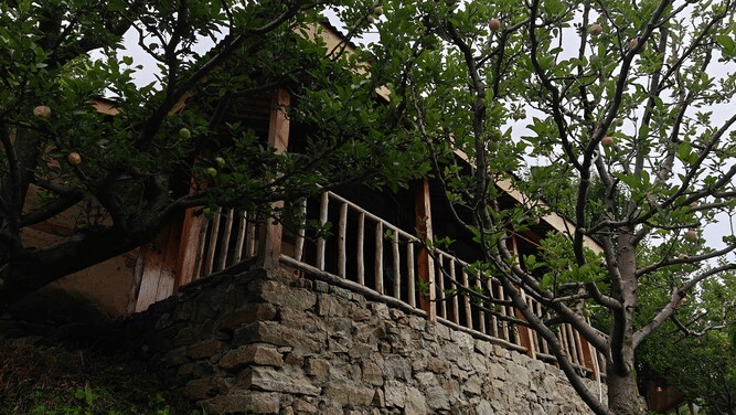 The exterior of the Deo Tibba Cottage featuring the cottage structure perched upon an elevation made of rocks, surrounded by lush greenery at Amara Upepo - The Sky Village, Manali.