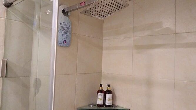 Wall-mounted square rain shower with glass partition, two toiletry bottles on a corner glass shelf at Rockland Hotel, Panchsheel Enclave, New Delhi.