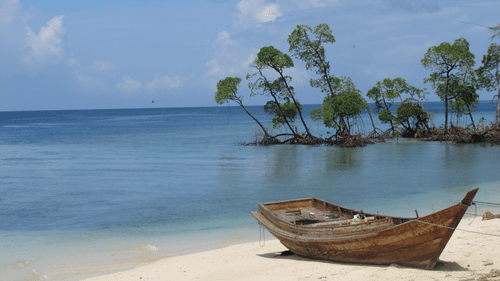 A wooden boat resting on a white sandy beach next to a calm blue ocean with several trees growing in the shallow water.