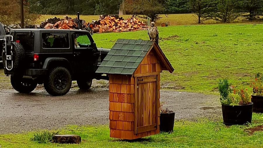 A jeep parked near a tree house on a scenic open field - Brewery Gulch Inn & Spa