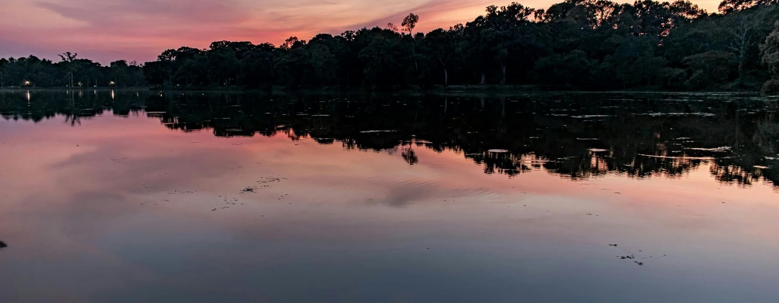 Serene view of the lake surrounded by trees during dusk.