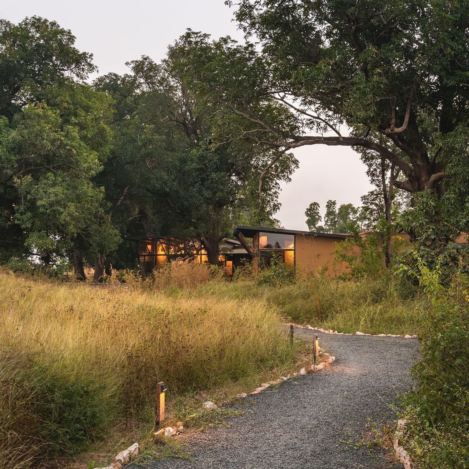 A trail leading to the huts at Trees N Tigers, Tadoba.