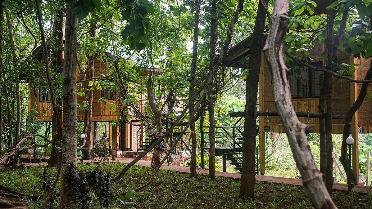 Tree Top AC Room - Sajan -Tree Top AC Rooms at Nature Trails Sajan offering a unique stay experience with elevated views amidst lush greenery.