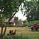 Our Native Village 2
