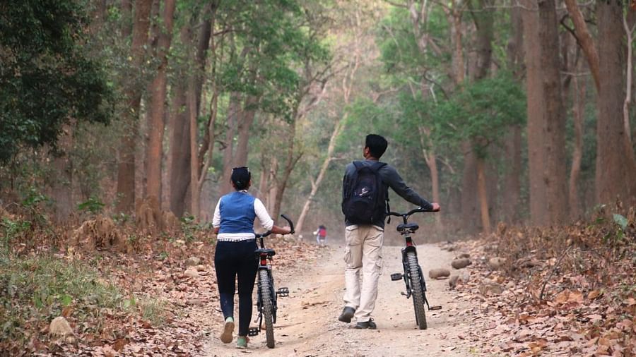 cycling
