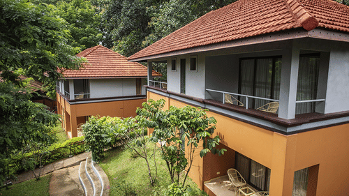 Cottages surrounded by lush green trees at one of the best resorts in Thekkady - Abad Green Forest